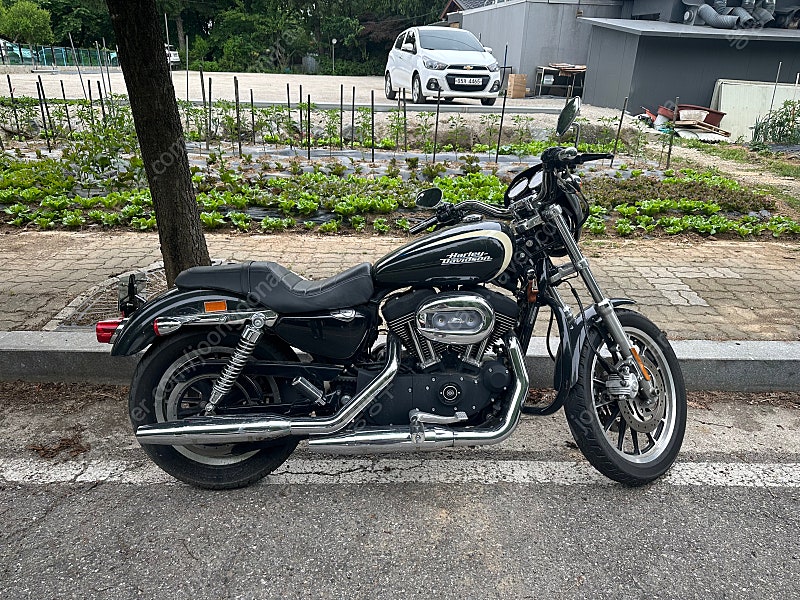 할리데이비슨 08년식 스포스터 xl1200r 팝니다