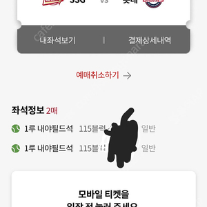 6/8(토) 롯데 vs ssg 2연석 양도