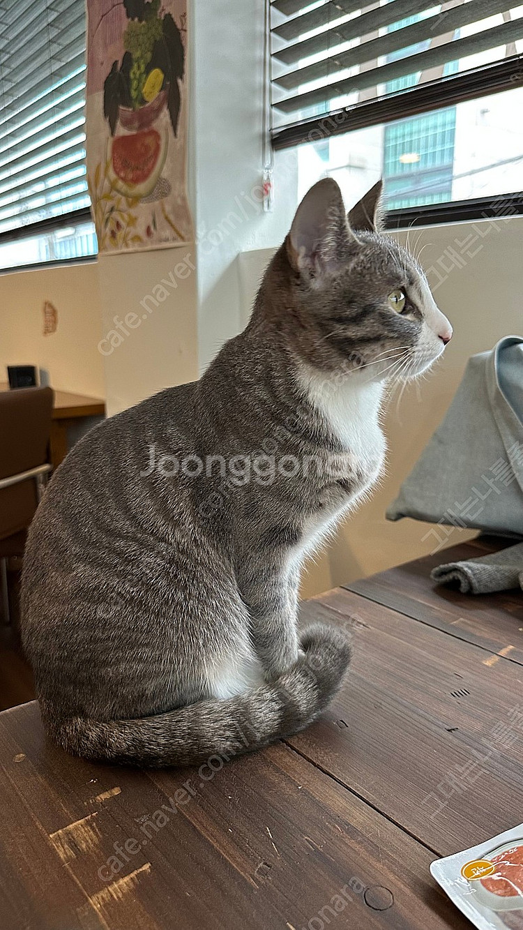 여기어때37000 (80퍼)에구해요--0