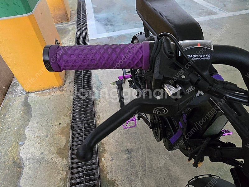 코스트사이클 버즈라 X 1000W 판매 합니다.--3