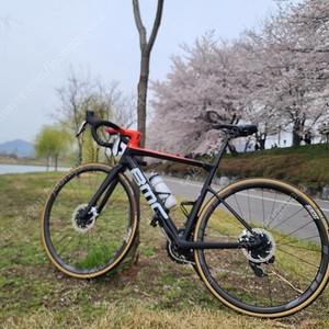 BMC SLR01 ONE LTD 스램 RED AXS 51사이즈판매