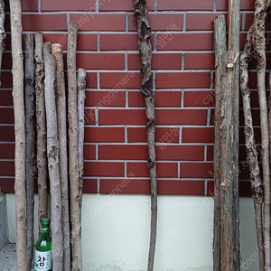 연수목 등산스틱 지팡이