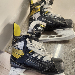 아이스하키 스케이트 (바우어, 트루)