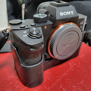 SONY A7M3 / 2470GM / SAL70400G2, LA-EA3