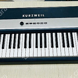 Kurzweil mark-pro oneis