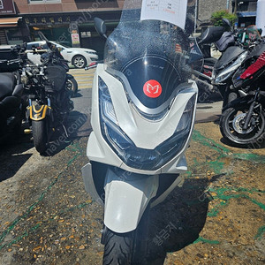 pcx 21 흰색 3번