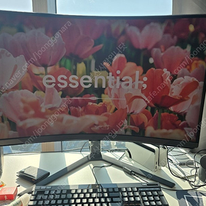 삼성 오디세이 NEO G8 4K 240hz 모니터 3일 사용