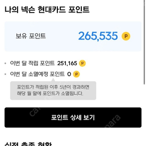 넥슨현대포인트 26.5만