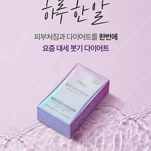 수국이 다이어트 (리세린지)