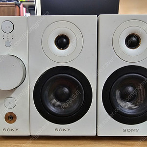 sony cas-1