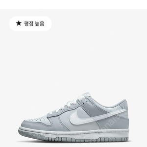 나이키 덩크 울프그레이 gs 245 dh9765