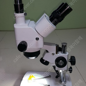 동원실체 3안 현미경 DSZ-40TG 영상현미경