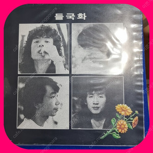 들국화1집 초판 LP NM/NM