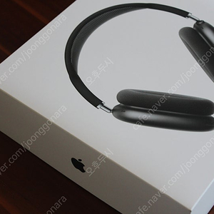 Apple Airpod max 에어팟 맥스 - 스페이스 그레이