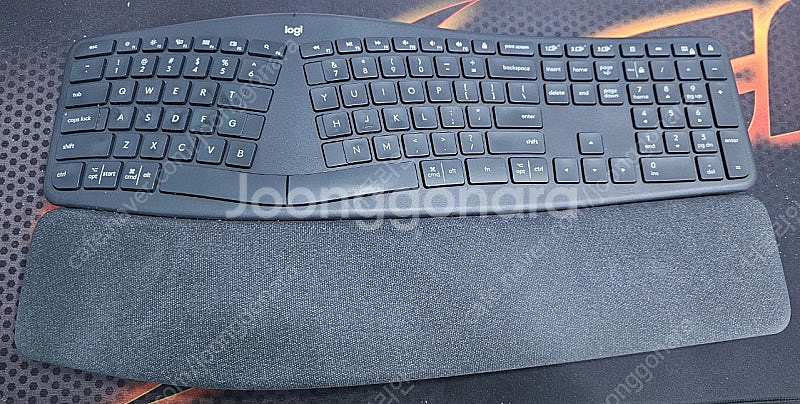 로지텍 에르고 K860 영문각인--0