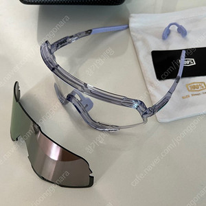 100%(백퍼센트) 글렌데일 라벤더색상