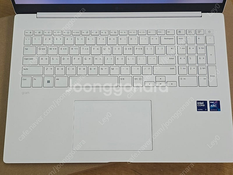 lg 그램17 pro 17ZD90SP-GX76K+1tb--7