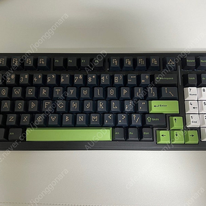 독거미99 f99