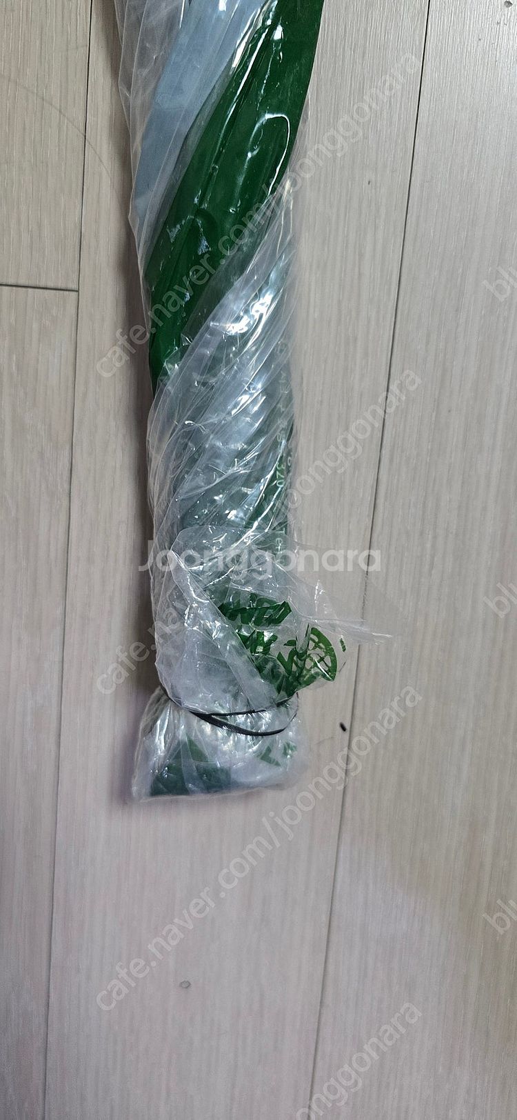 테니스라켓 초보용 에스콰이어--4