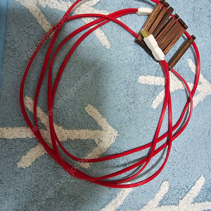라이트 하모닉 10G USB 케이블