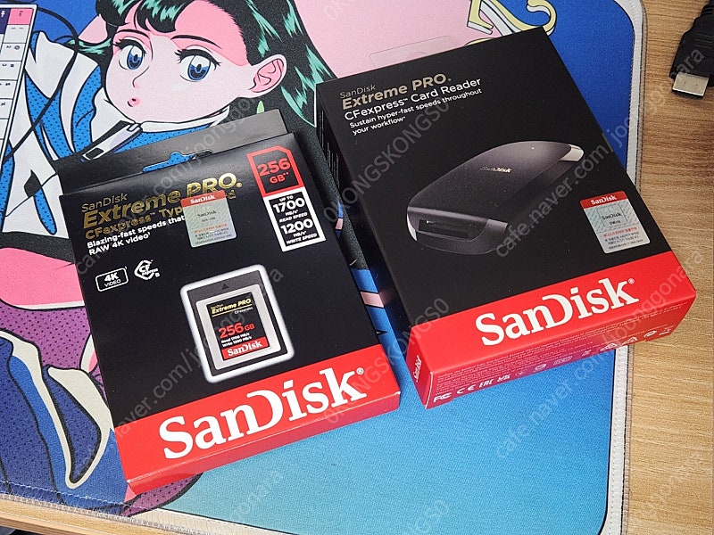 샌디스크 CFexpress Type B 256GB 메모리 카드 + 리더기 SDDR-F451