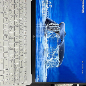 LG 그램 15인치 / i7 10세대 / 램 16gb / ssd 256gb 2개 팝니다