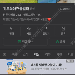 애견풀빌라 연천 6월7-8일