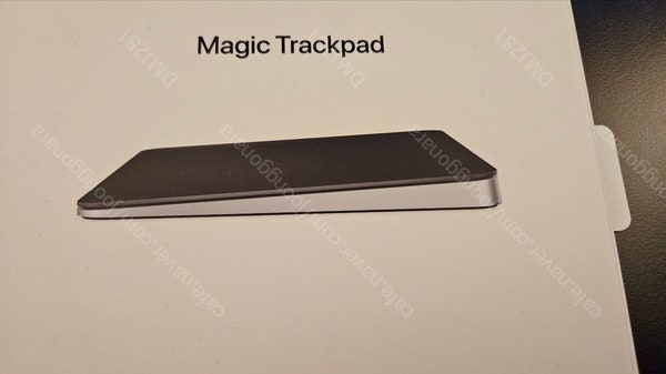 애플 매직 트랙패드2 스페이스 그레이 판매