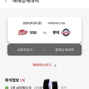 6월 9일 롯데 SSG 1루 내야 바다유니폼증정