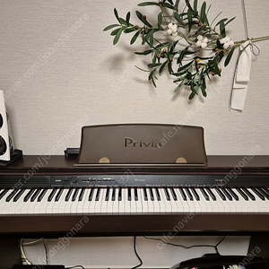 카시오 PX-760 디지털피아노 팝니다