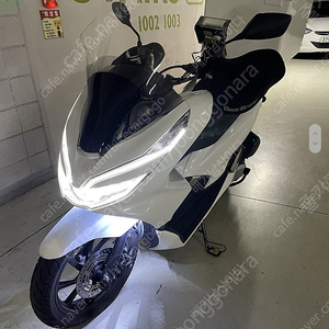 (급처) 오토바이 pcx 125cc (19년식)