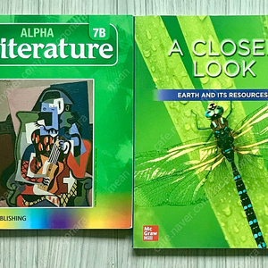 초4 ILE교재 ALPHA LITERATURE 7B, A LOOK CLOSER