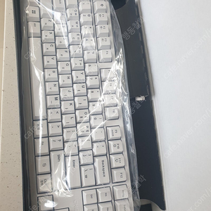 g80 3000s tkl 화이트 적축 체리키보드