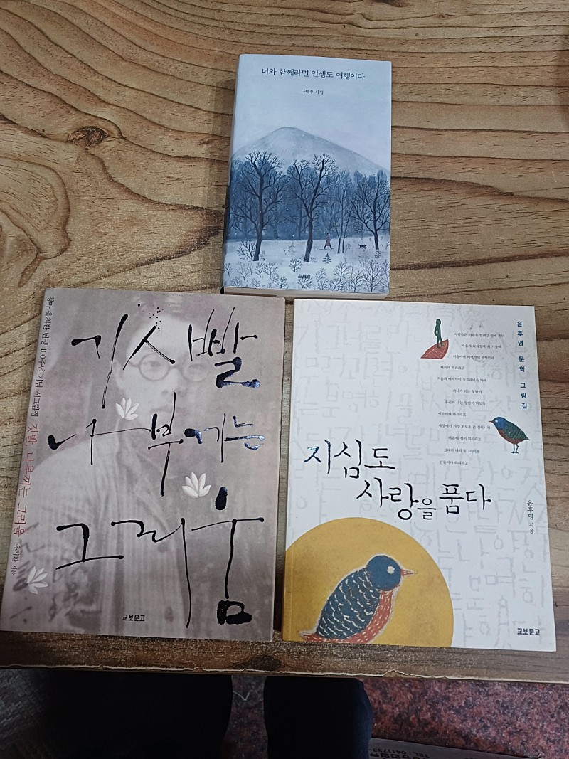 청마 유치환.탄생 100주년 기념.시그림집.깃빨 나부끼는 그리움.(나태주 시집.너와 함께라면 인생도 여행이다)(윤후명 문학 그림집..지심도 사랑을 품다)