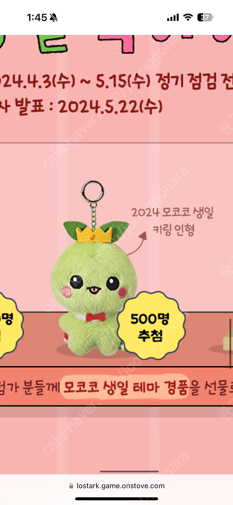 구매]로스트아크 2024 모코코 생일 키링 인형 구매합니다 | 중고나라 - 안심되는 중고거래