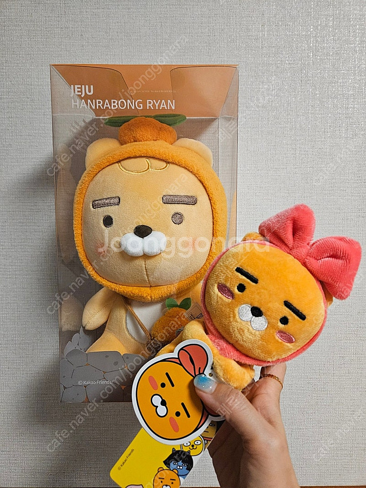 새상품)한라봉 라이언+리본 라이언--0