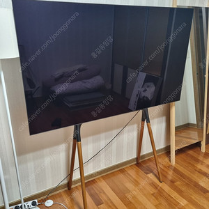 LG 올레드 65인치 cxcna oled TV