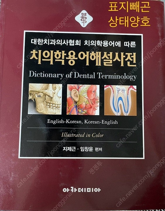 치의학용어해설사전, solutions for dental esthetic, Dr.Lee의 솔직한 임상 심미 보철, Cohen's pathways of the pulp