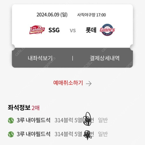 6/9 일요일 롯데vsSSG 3루 2연석