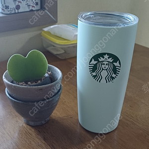 스타벅스 민트색 텀블러