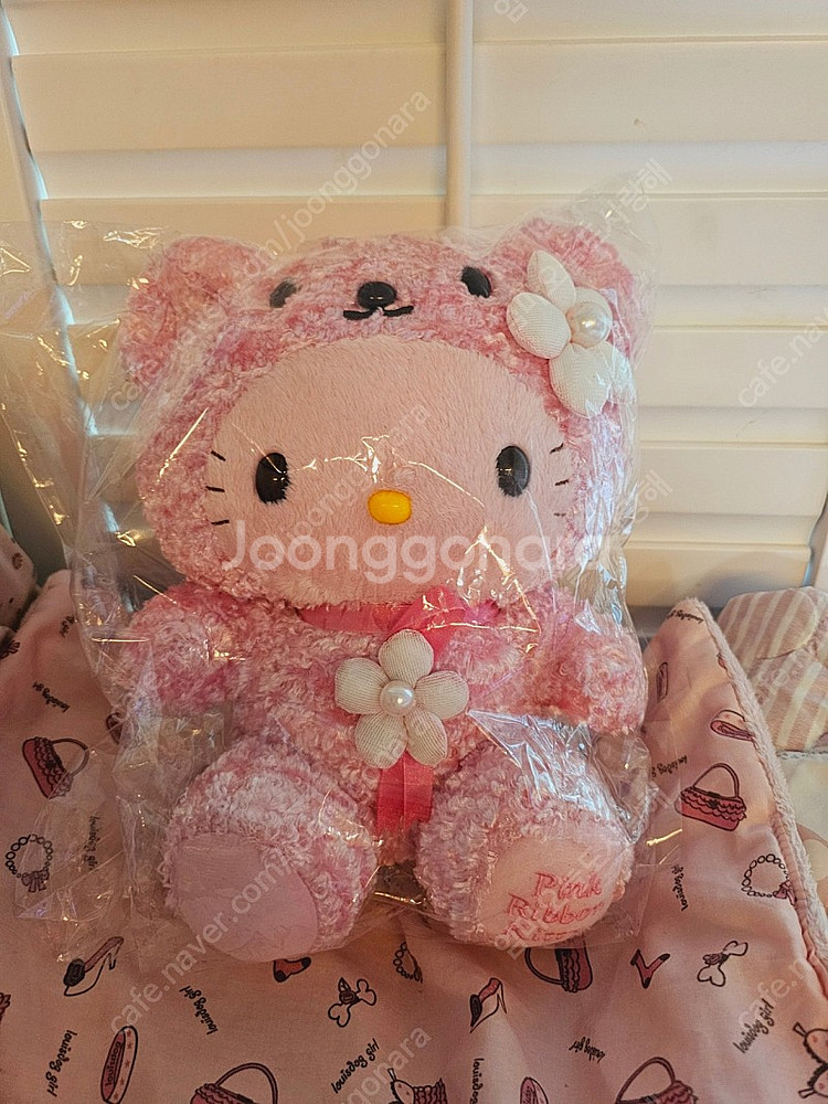 고전베어키티 곰키티--0