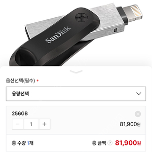 샌디스크 iXpand GO 아이폰 라이트닝 usb 256gb