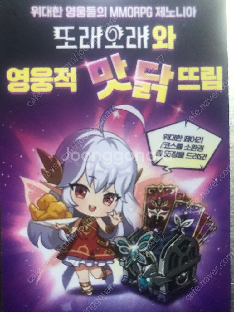 제노니아쿠폰--0