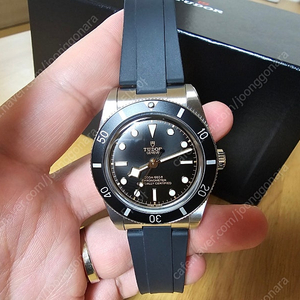 튜더 블랙베이 54 (브슬 + 러버) 판매합니다.