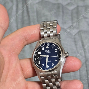 iwc 파일럿 36 검판