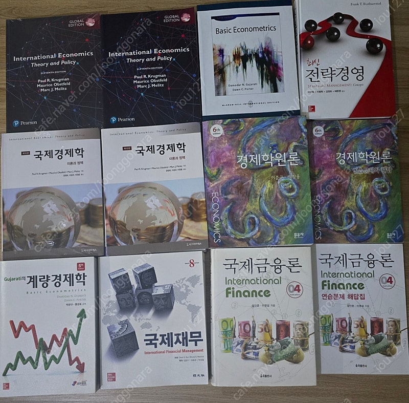 경제학 전공책