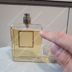 샤넬 코코 마드모아젤 EDP 100ml 향수 (25)