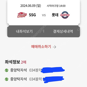 6월9일 롯데 vs SSG 1차 더블헤더 중앙탁자석 2연석 판매