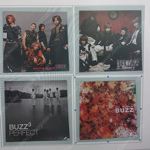 버즈 (BUZZ) LP