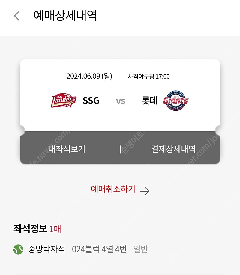 6/9 롯데 vs SSG (카리나시구) 중앙탁자석 1석